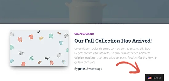 轻松创建 WordPress 中英文多语言网站 轻松创建 WordPress 中英文多语言网站