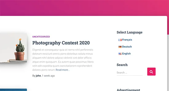 轻松创建 WordPress 中英文多语言网站 轻松创建 WordPress 中英文多语言网站