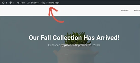 轻松创建 WordPress 中英文多语言网站 轻松创建 WordPress 中英文多语言网站