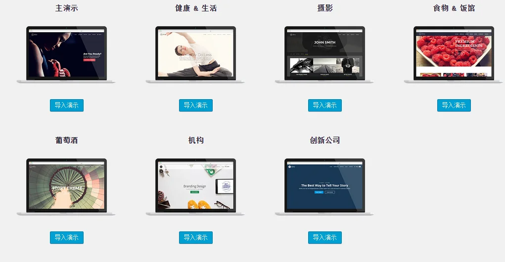 Story - 创意多用途网站WordPress汉化主题 - v1.9.14