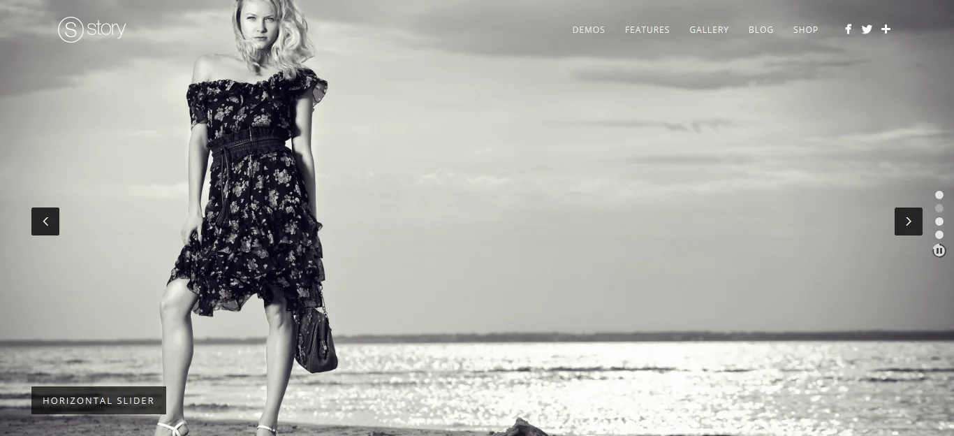 Story - 创意多用途网站WordPress汉化主题 - v1.9.14