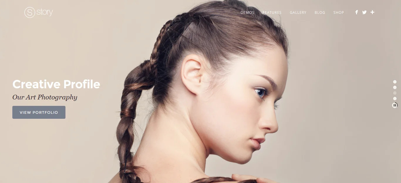 Story - 创意多用途网站WordPress汉化主题 - v1.9.14