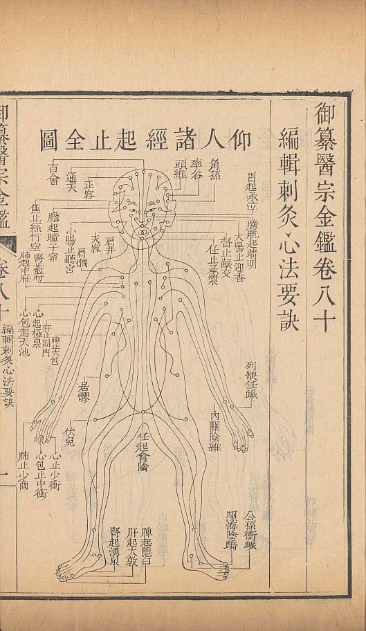 大型综合性医学丛书《御纂医宗金鉴》