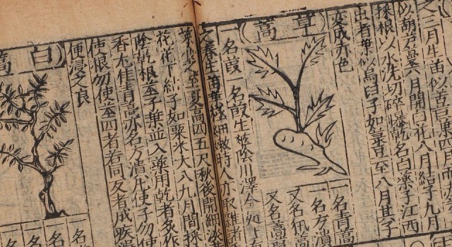 综合性本草著作《新刻太乙仙制本草药性大全》