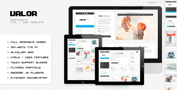 VALOR v1.1 – 响应式HTML模板