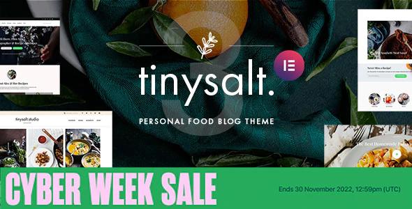 TinySalt - 个人美食餐饮食谱博客网站WordPress主题
