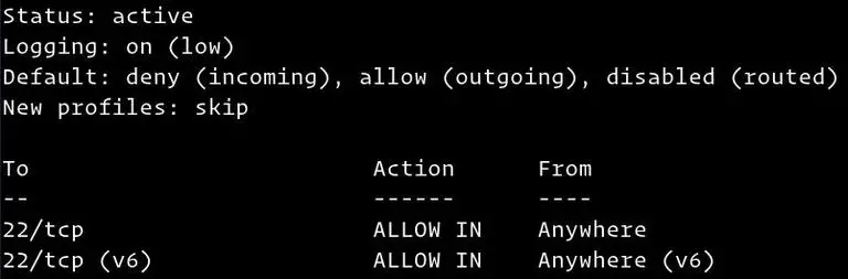 如何在 Ubuntu 18.04 上使用 UFW 设置防火墙