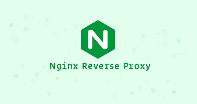 设置 Nginx 反向代理