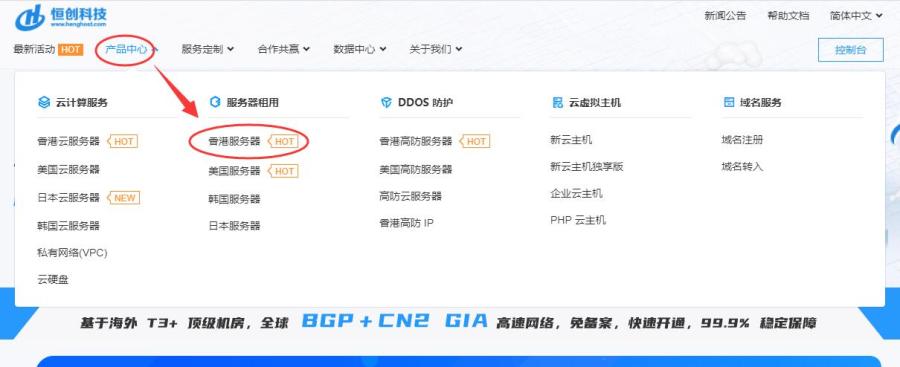 恒创主机：香港站群服务器推荐 - 253个多IP支持