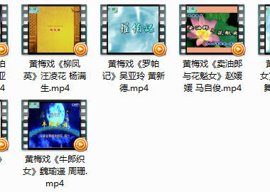 黄梅戏视频 罗帕记牛郎织女mp4等七部打包下载