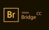 Adobe Bridge全系列激活版一键下载安装教程 [BR2018-2020版本][Win/Mac]