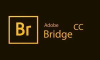 Adobe Bridge全系列激活版一键下载安装教程 [BR2018-2020版本][Win/Mac]
