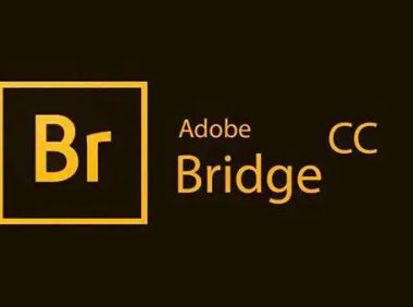Adobe Bridge全系列激活版一键下载安装教程 [BR2018-2020版本][Win/Mac]