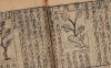 综合性本草著作《新刻太乙仙制本草药性大全》