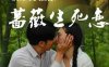 家庭电影《蔷薇生死恋》电影解说文案/片源