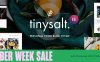 TinySalt – 个人美食餐饮食谱博客网站WordPress主题