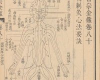 大型综合性医学丛书《御纂医宗金鉴》