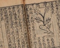 综合性本草著作《新刻太乙仙制本草药性大全》