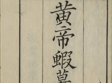 中医古籍《黄帝蝦蟇经》