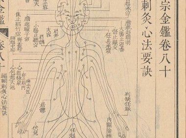 大型综合性医学丛书《御纂医宗金鉴》