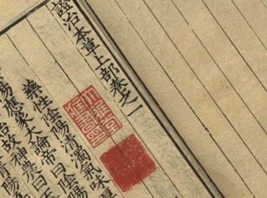 陆之柷撰写《证治本草》