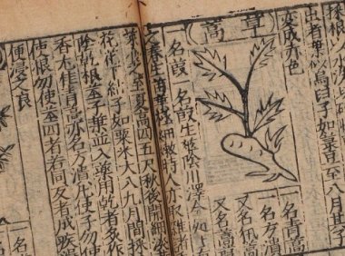 综合性本草著作《新刻太乙仙制本草药性大全》