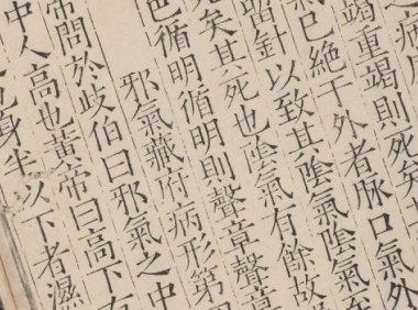 《黄帝素问灵枢经》12巻.宋史崧校释.明嘉靖时期刊本