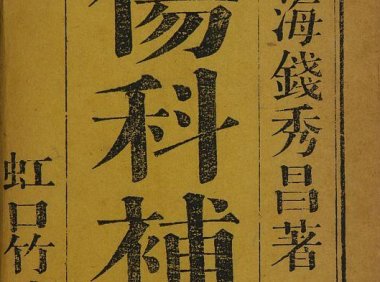 中医伤科参考书《伤科补要》