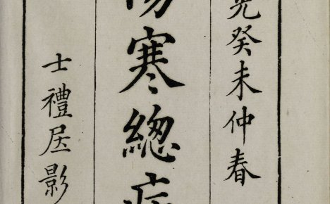 《伤寒总病论》宋代医家庞安时著