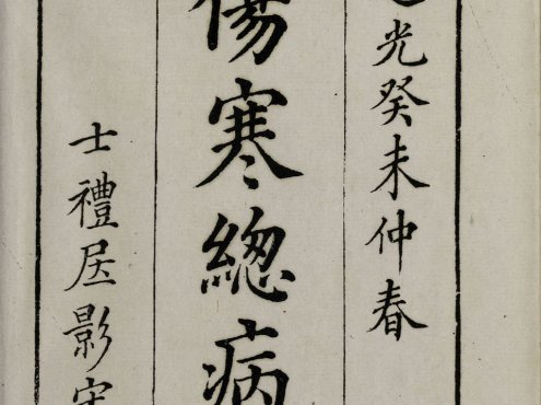 《伤寒总病论》宋代医家庞安时著