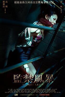 惊悚电影《监禁风暴》电影解说文案/片源