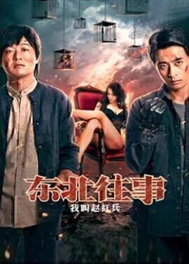 剧情电影《东北往事之我叫赵红兵》电影解说文案/片源