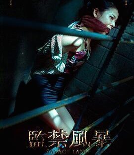 惊悚电影《监禁风暴》电影解说文案/片源