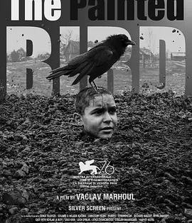 剧情电影《被涂污的鸟》影视解说文案/片源