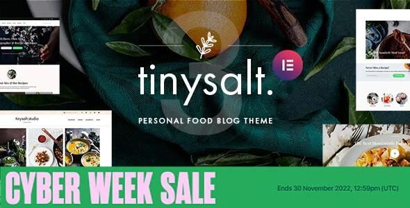 TinySalt – 个人美食餐饮食谱博客网站WordPress主题