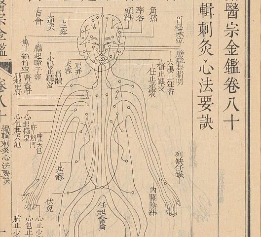大型综合性医学丛书《御纂医宗金鉴》 – 无言说