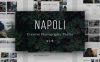 Napoli – 简约摄影展示网站模板WordPress模板