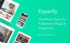 Expertly – 专业人士博客杂志WordPress主题