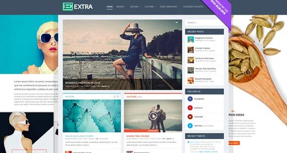 Extra - 杂志博客网站模板WordPress主题
