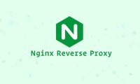 设置 Nginx 反向代理