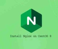 如何在 CentOS 8 上安装 Nginx