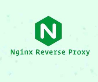 设置 Nginx 反向代理