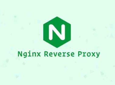设置 Nginx 反向代理
