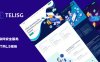 Telisg 网络安全和IT服务公司网站模板