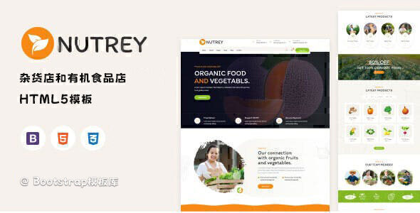 Nutrey 杂货店和有机食品店HTML模板